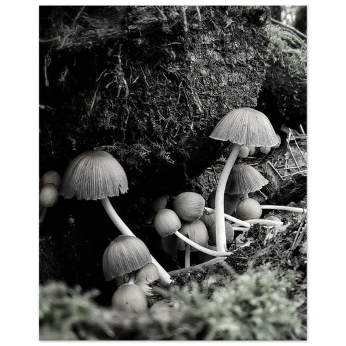 03175238-08aa-4717-ab2d-a8b789d630a9