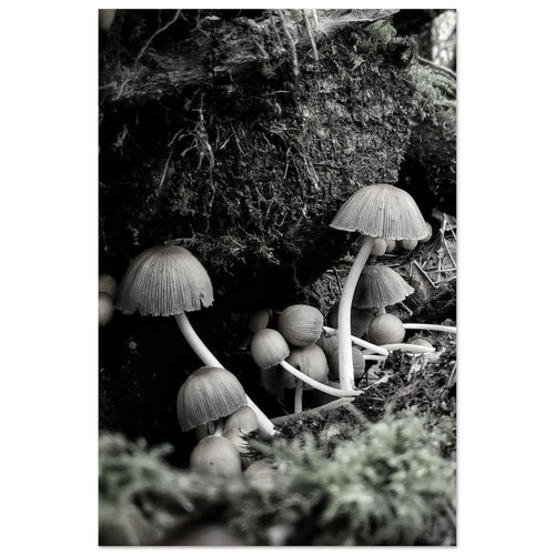 0830ab82-69e6-4251-a57a-5555728ad326