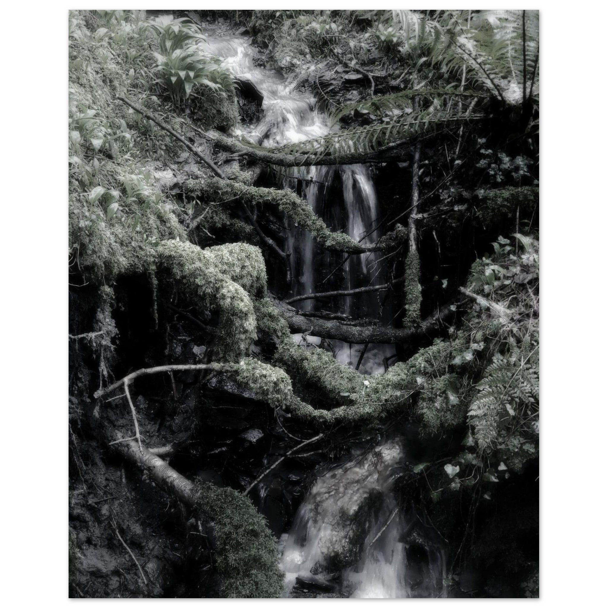 a75afe07-02f2-40b5-820f-d8650febf796