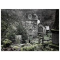 ee3248ed-7caa-4e19-bb71-63a7a9bdc269